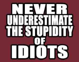 Stupidity-of-idiots-quotes-squashed